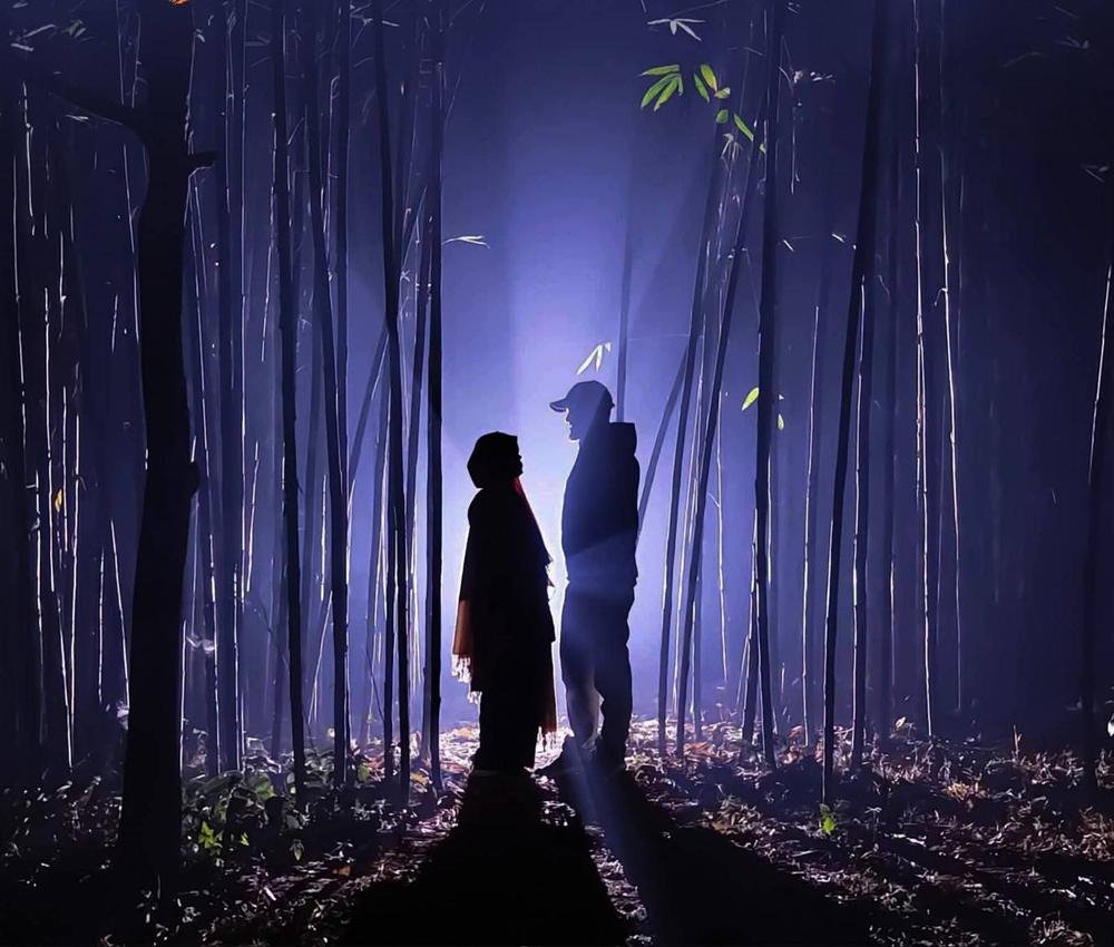 Two people silhouetted in a misty bamboo grove at night