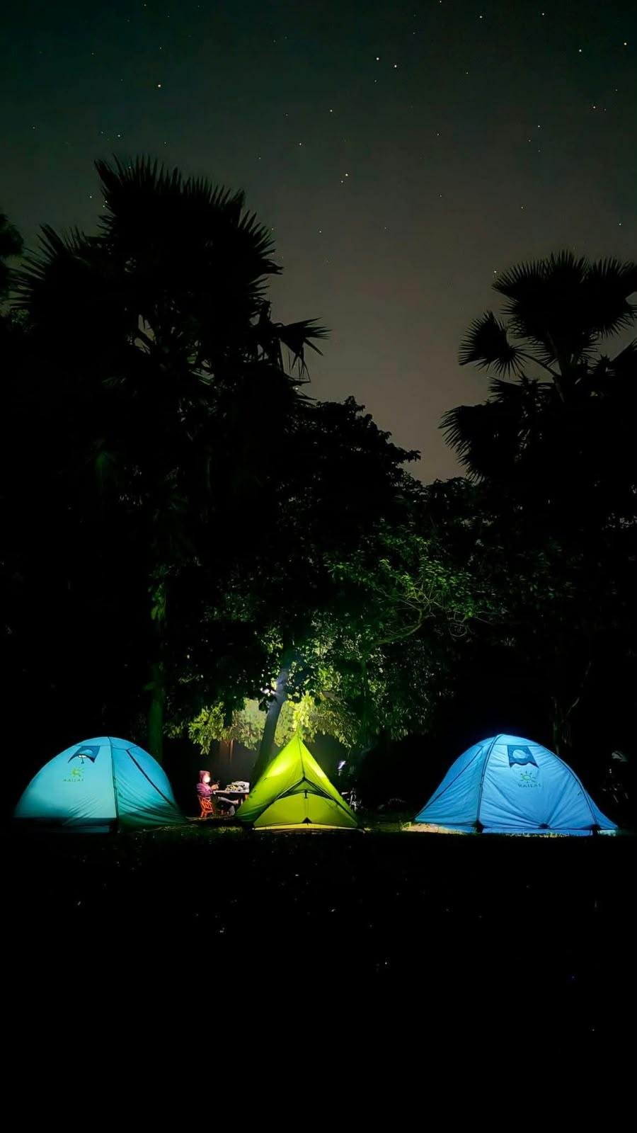 Three lit tents under a starry sky between palm trees